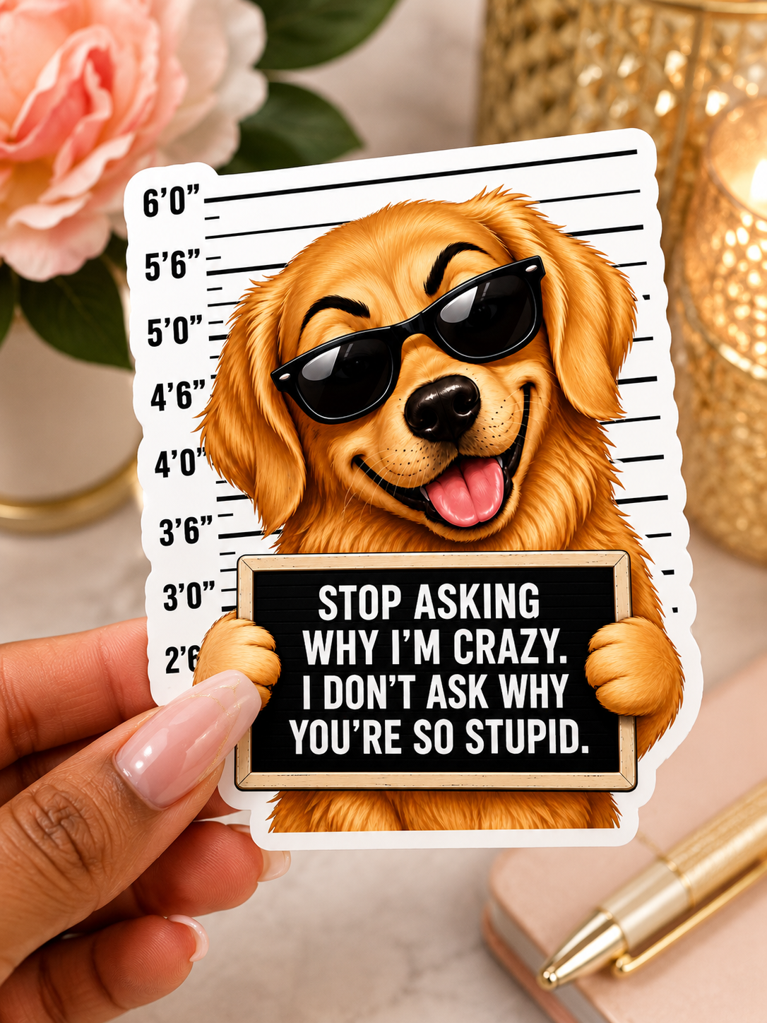 Stop Asking Sticker