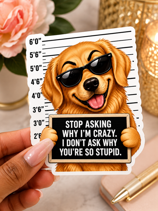 Stop Asking Sticker